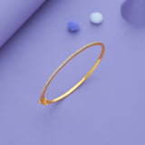Crystal Line Gold Polish 925 Silver Kada