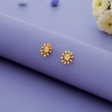 Endearing Gold Polish 925 Silver Earrings
