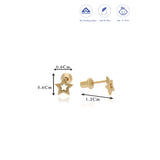 Star 18K Gold Polish Silver Stud(2+ Yrs)