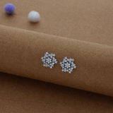 Frosted Star 925 Silver Stud Earring